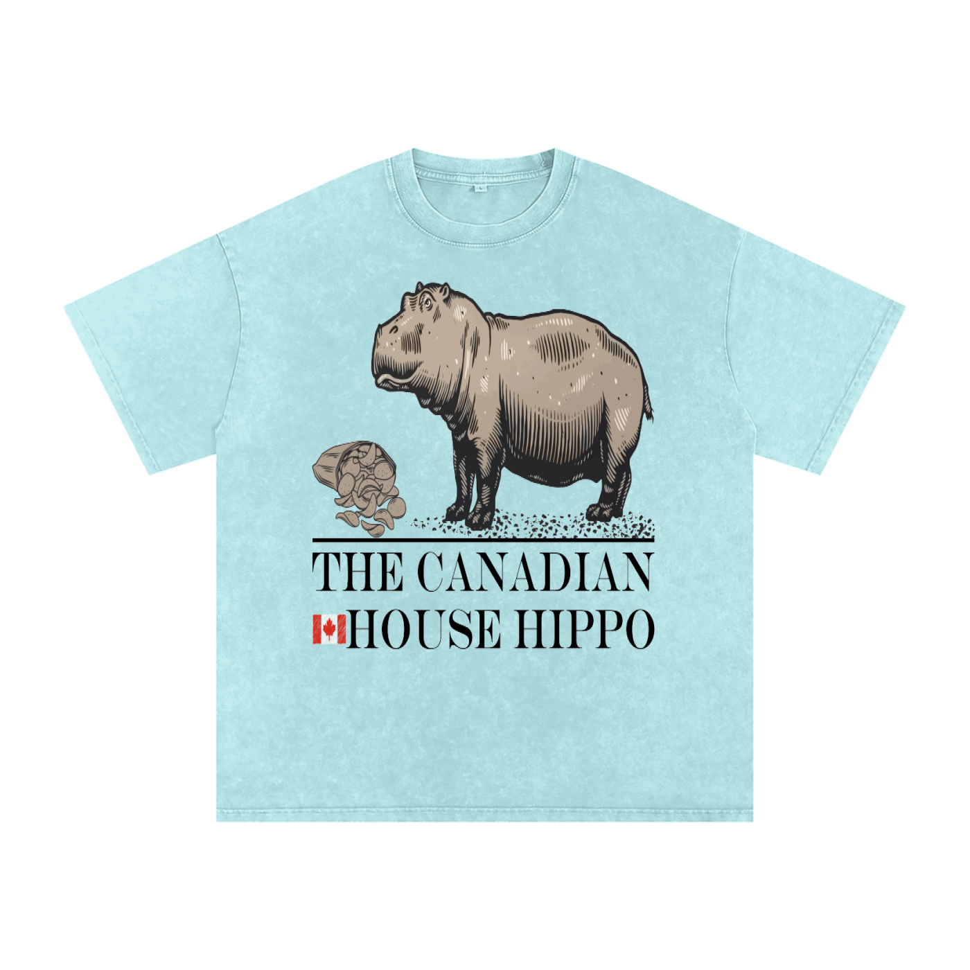 House Hippo Oversized T-Shirt