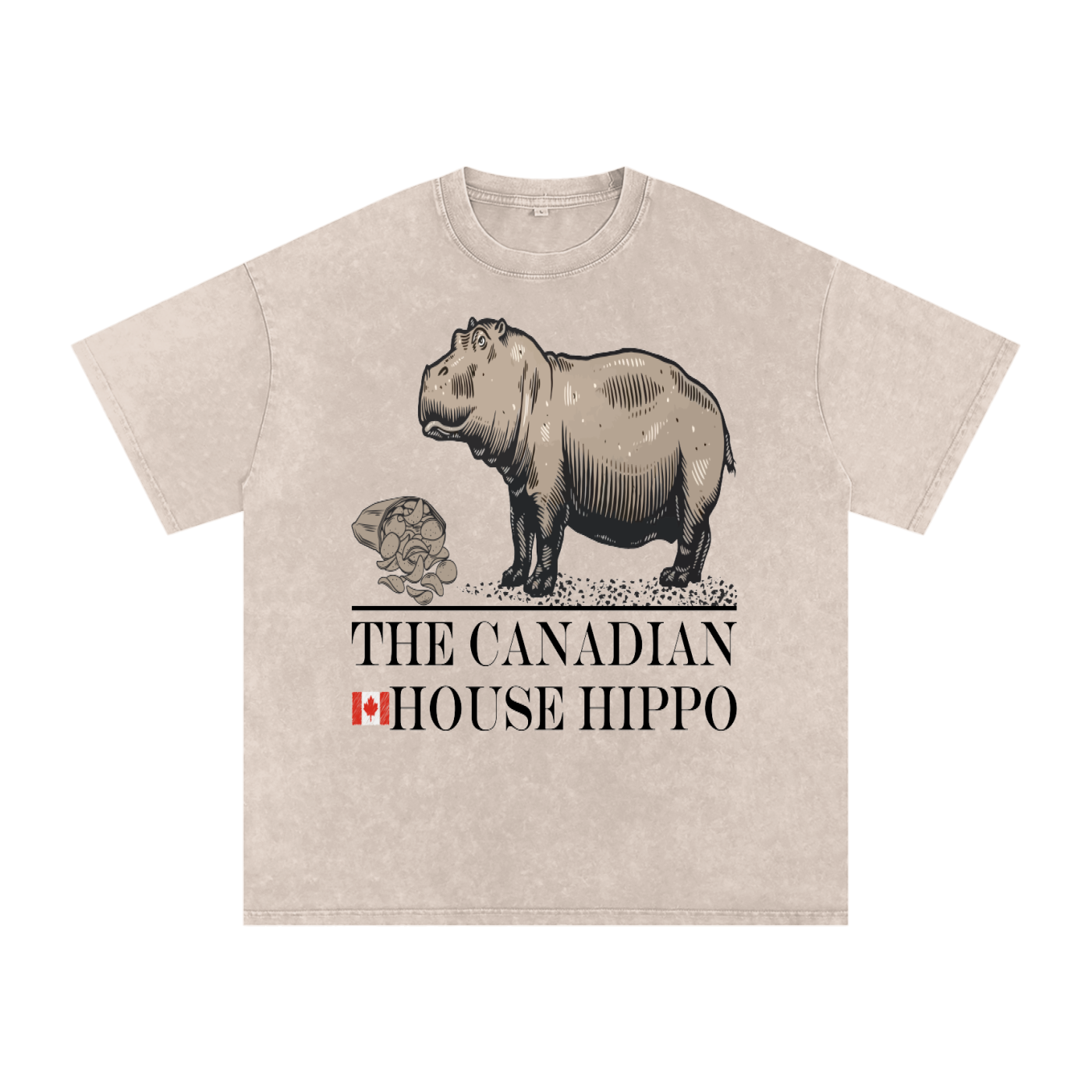 House Hippo Oversized T-Shirt