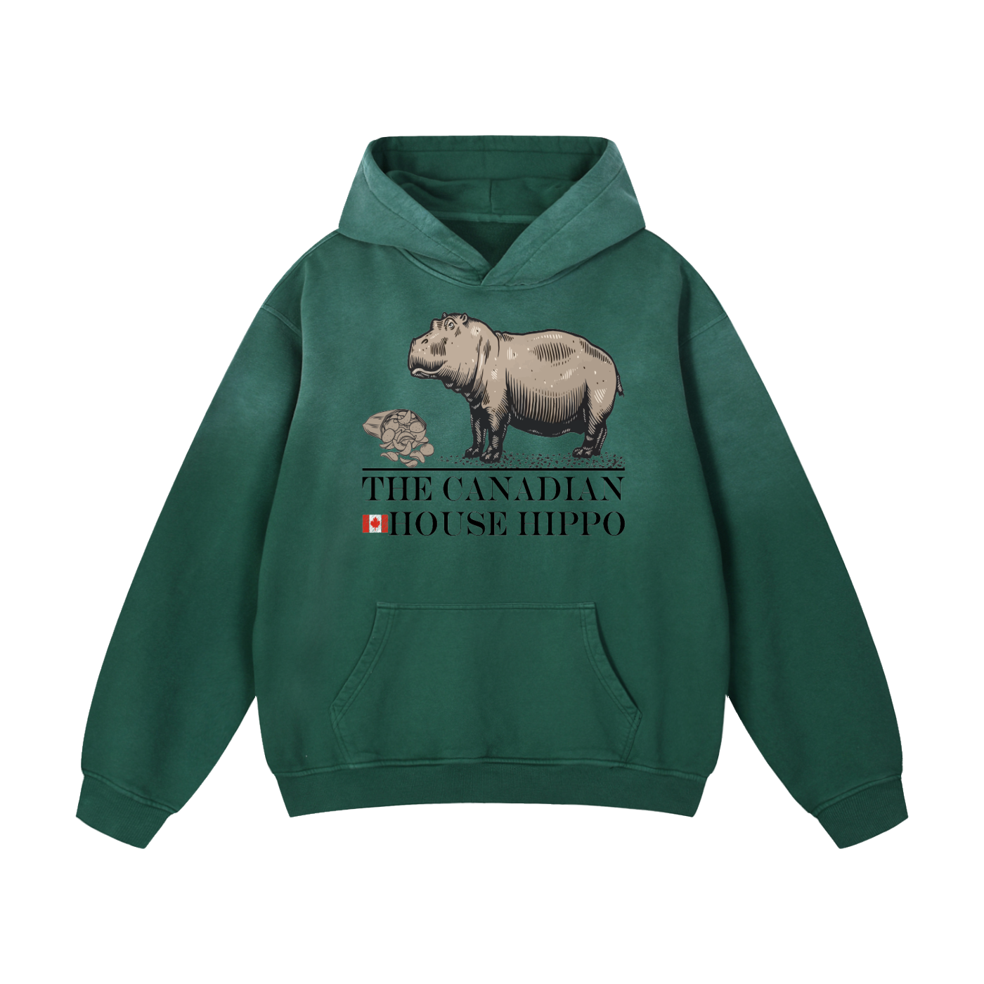 House Hippo Oversized Hoodie