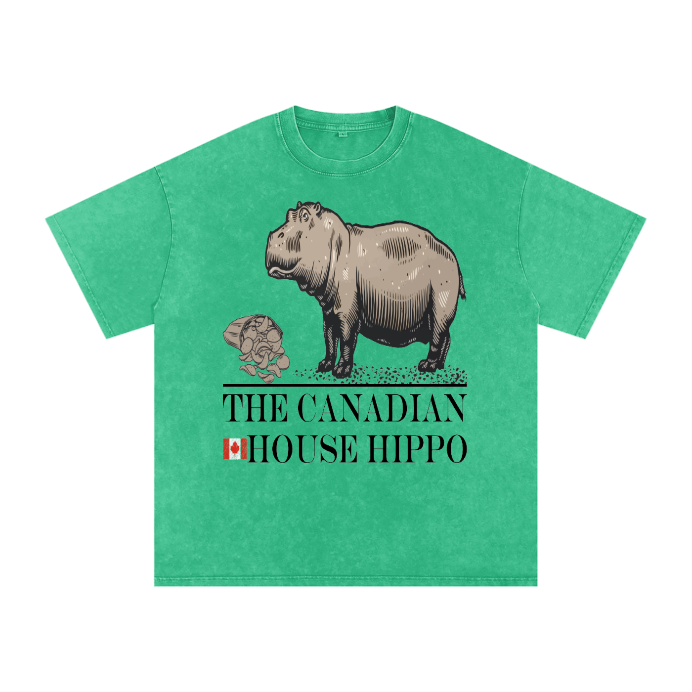 House Hippo Oversized T-Shirt