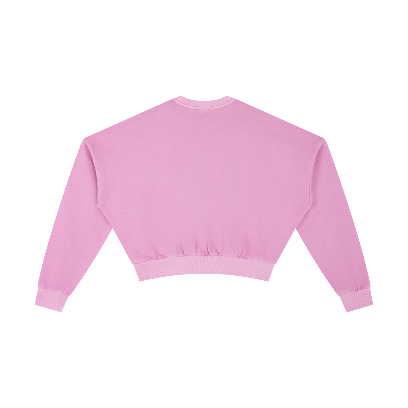 House Hippo Cropped Sweatshirt