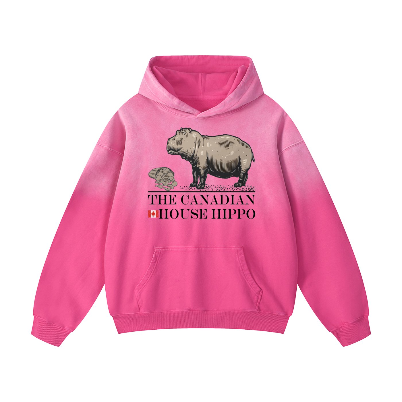 House Hippo Oversized Hoodie